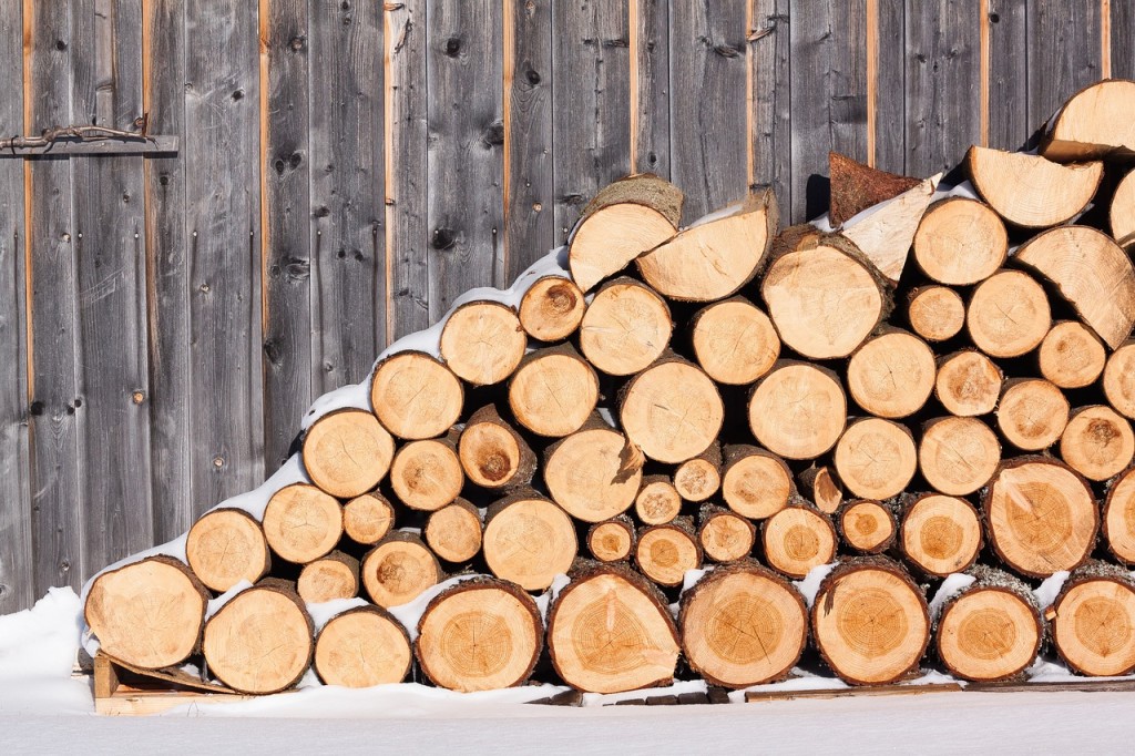 How Much Does Firewood Cost? Wood Stoves